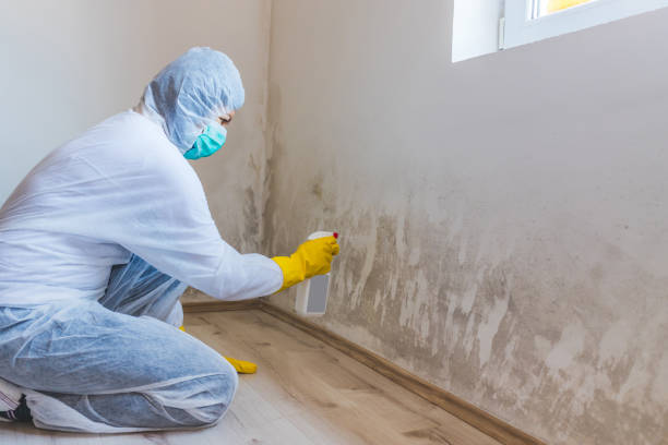 Hvac And Air Duct Mold Remediation inspection of HVAC system in Bladensburg